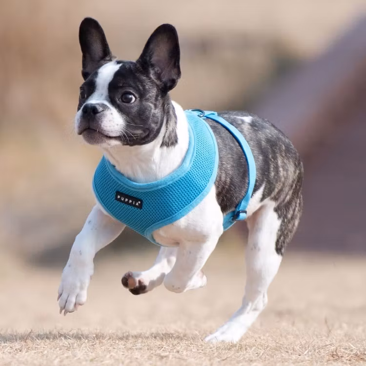 Puppia Soft Harness A Lyseblå / Sky Blue