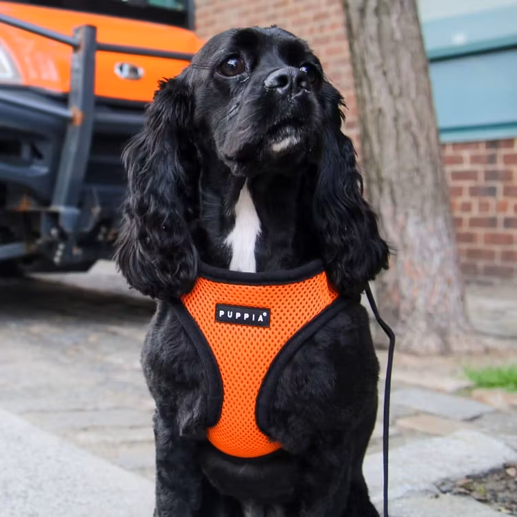 Puppia Soft Harness A Orange