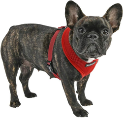 Puppia Soft Harness A Vinrød / Wine