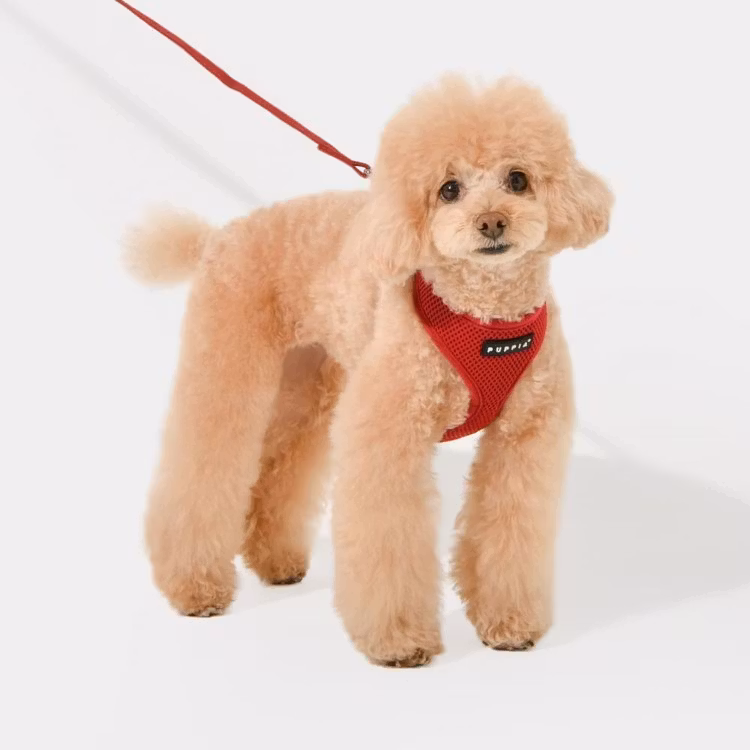 Puppia Soft Harness A Vinrød / Wine