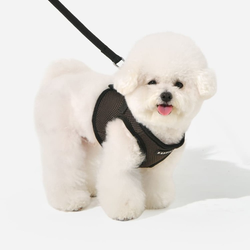 Puppia Soft Sport Harness B Brun / Brown