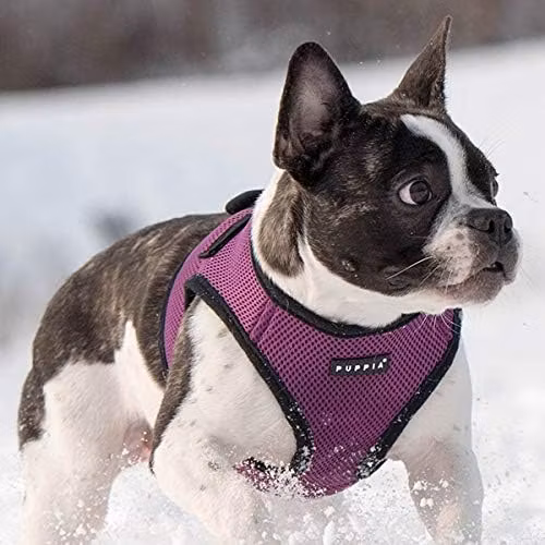 Puppia Soft Sport Harness B Lilla / Purple