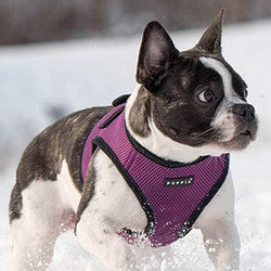 Puppia Soft Sport Harness B Lilla / Purple