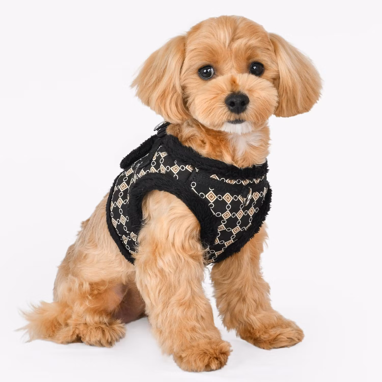Puppia Jace Harness B Black