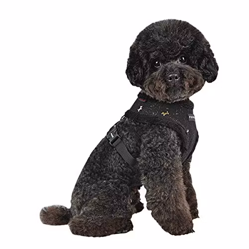 Puppia Gia Harness A Sort / Black