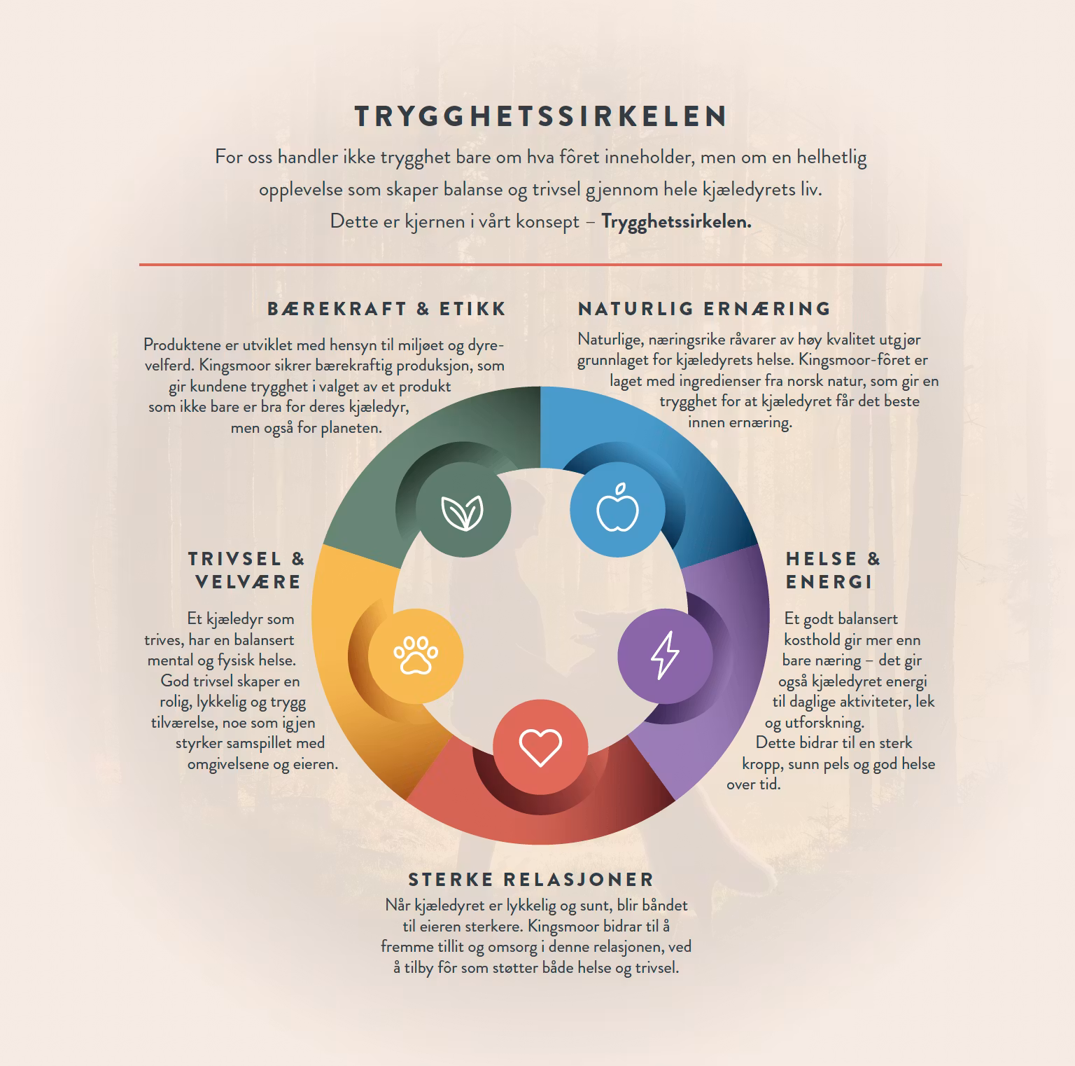 Kingsmoor Sport Hund Kylling - Pure Chicken Sport Dog