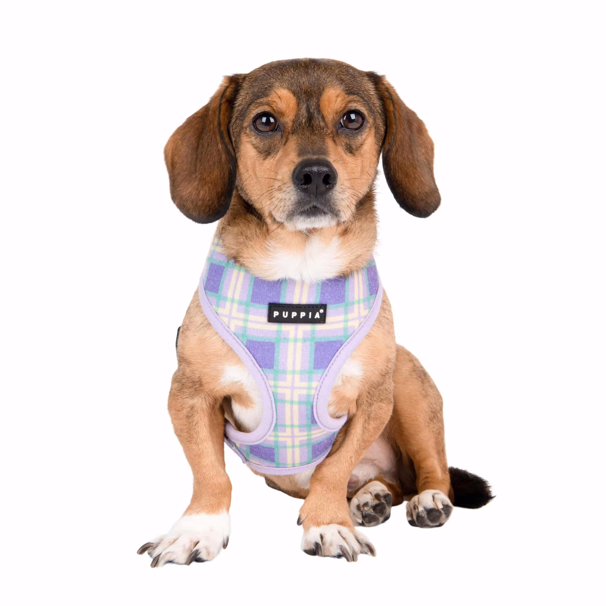 Puppia Jaylen Harness A Lilla / Violet