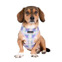Puppia Jaylen Harness A Lilla / Violet