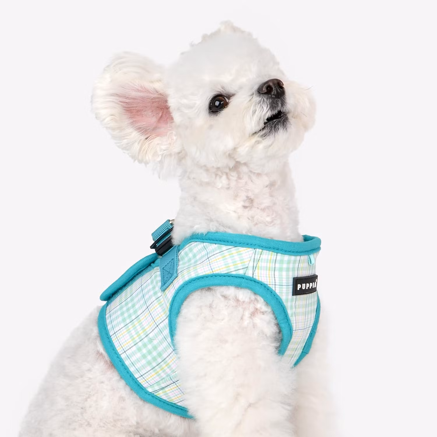 Puppia Jace Harness B Aqua