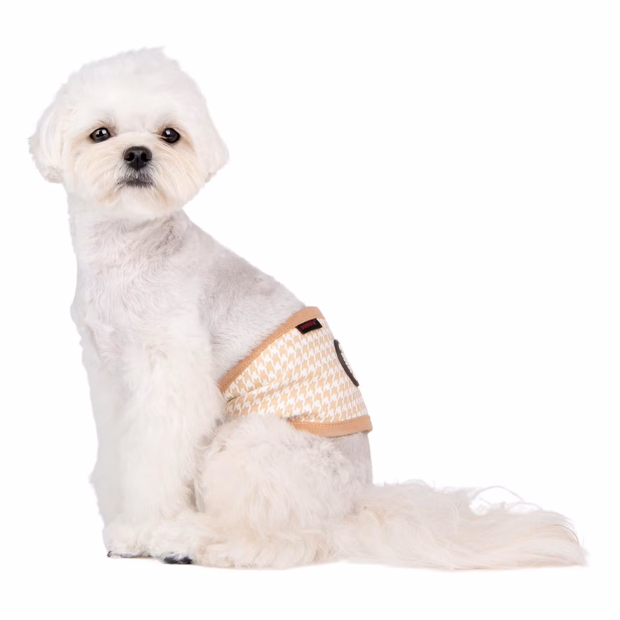 Puppia Egon Mannerband / Bellyband / Magebelte