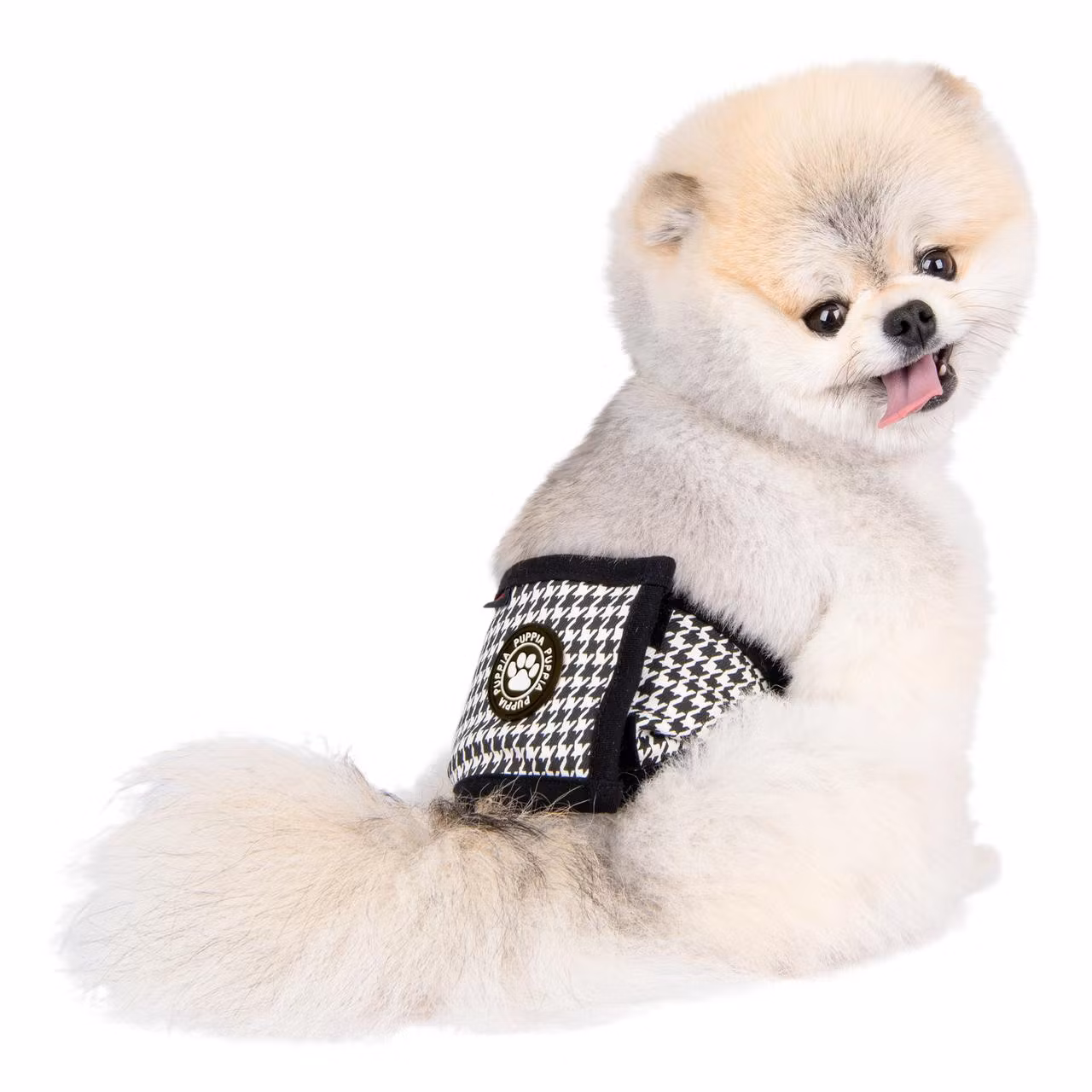 Puppia Egon Mannerband / Bellyband / Magebelte