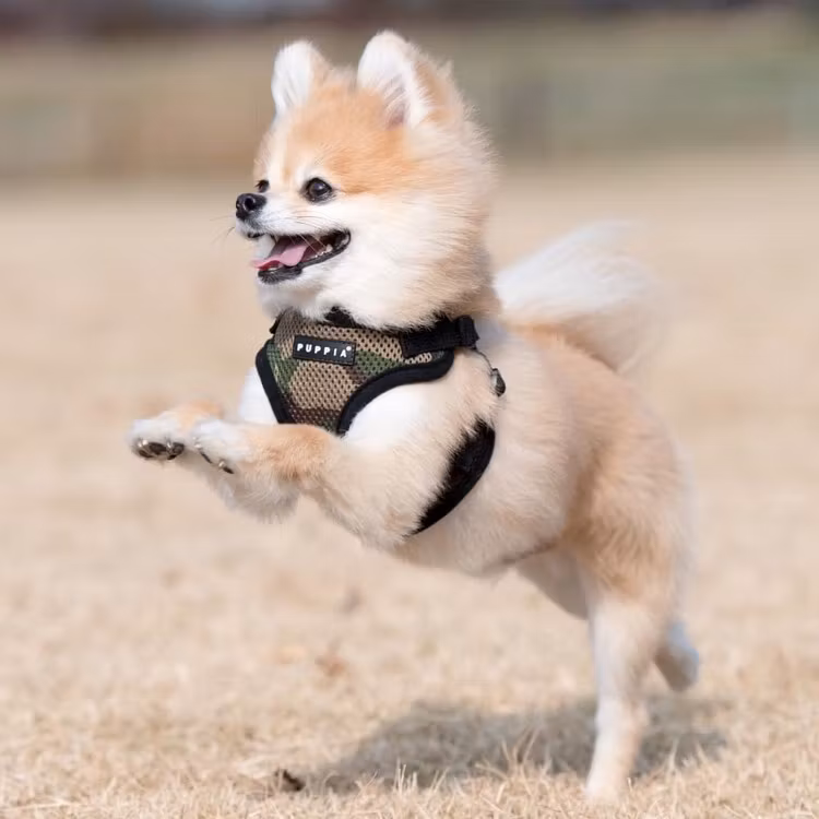 Puppia Soft Harness C Sort / Black