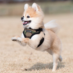Puppia Soft Harness C Sort / Black