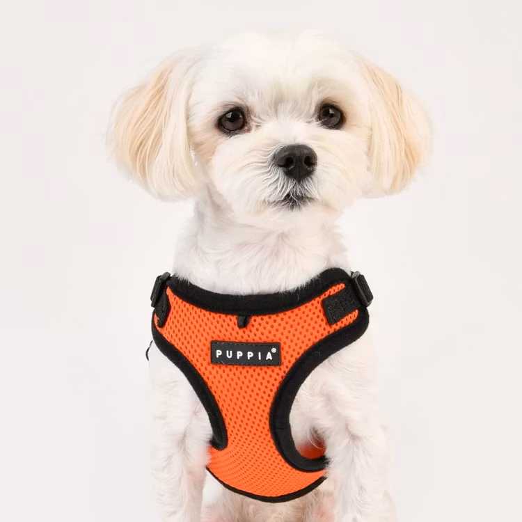 Puppia Soft Harness C Sort / Black