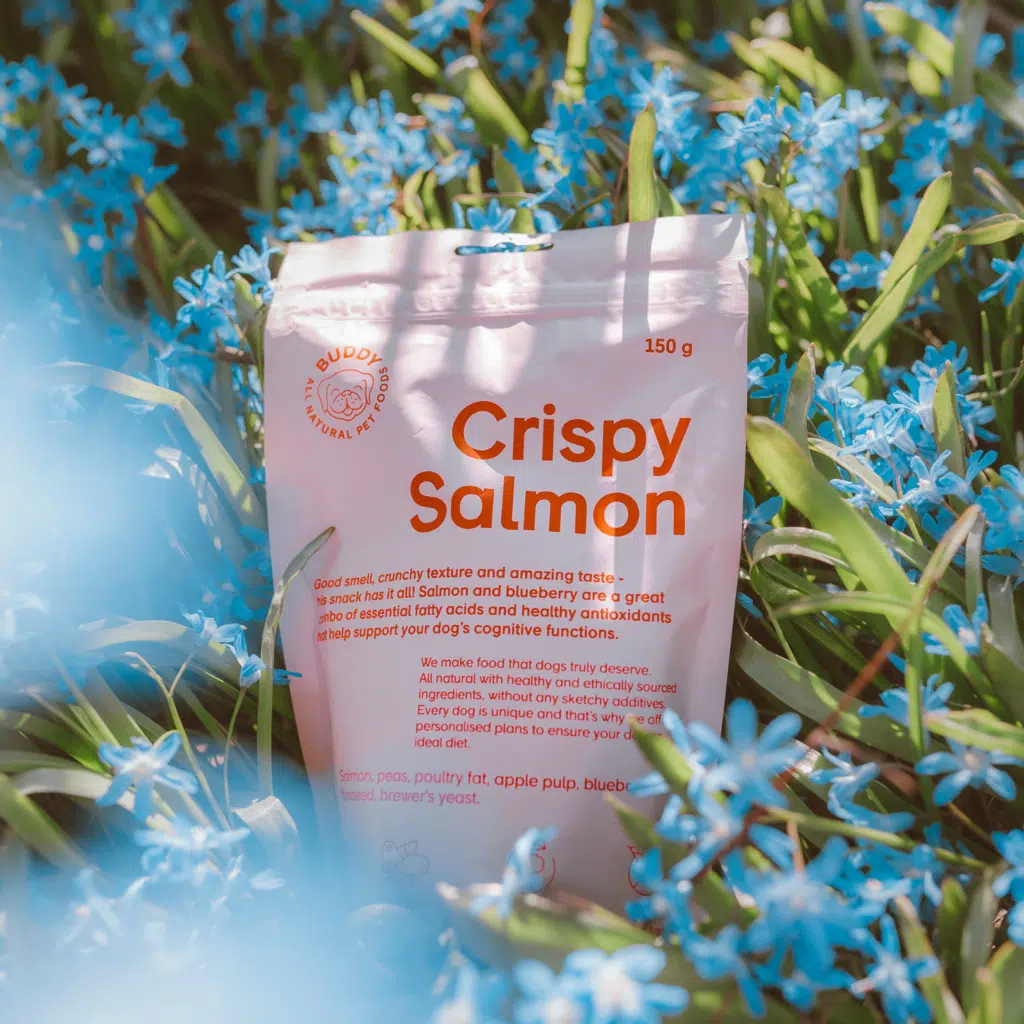 Buddy Crunchy Snack Salmon - Laks & Blåbær 150g