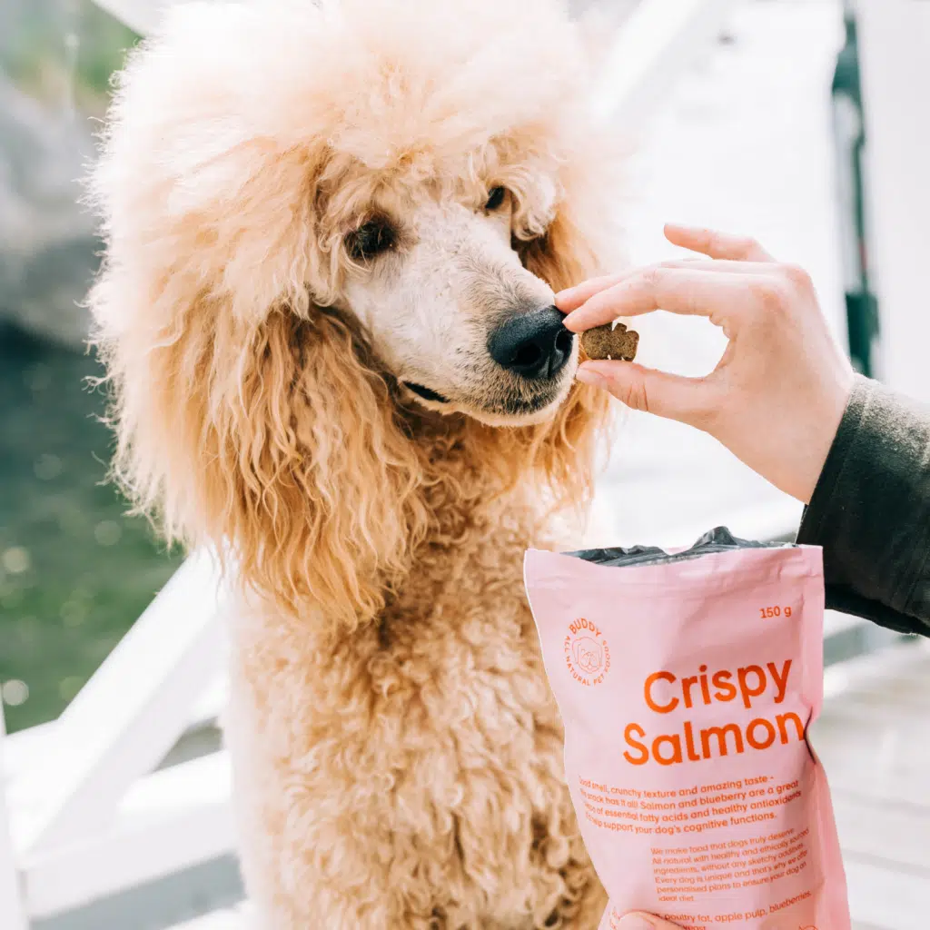 Buddy Crunchy Snack Salmon - Laks & Blåbær 150g