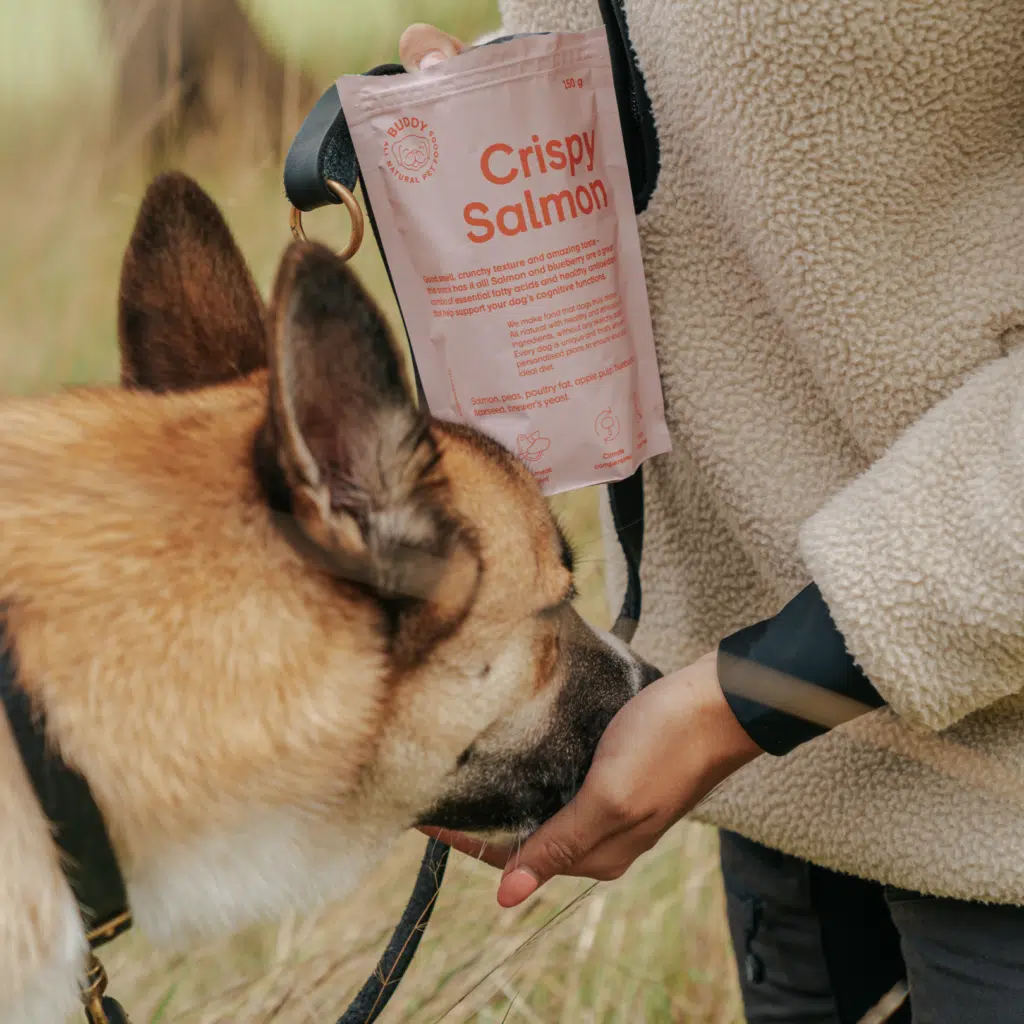 Buddy Crunchy Snack Salmon - Laks & Blåbær 150g