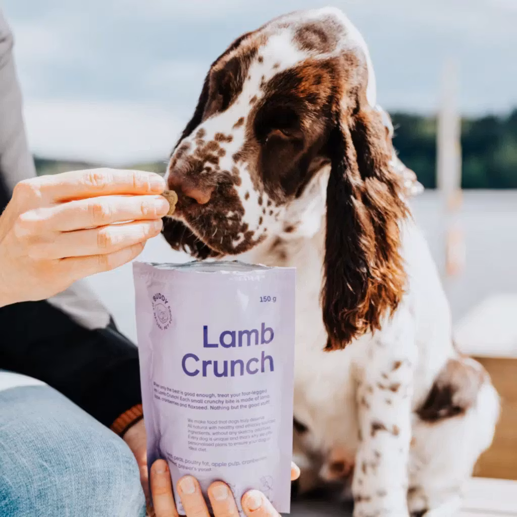 Buddy Crunchy Snack Lamb & Cranberries 150g