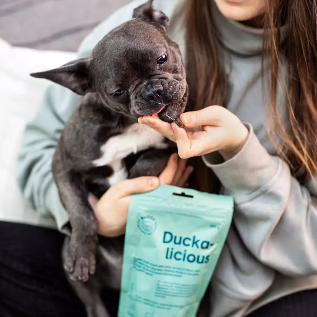 Buddy Semi-moist Snack Duck & Rosemary 200g