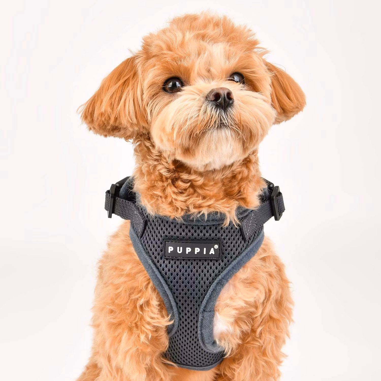 Puppia Ritefit Air Mesh Harness Lys blå / Sky Blue med justering i både nakke og bryst