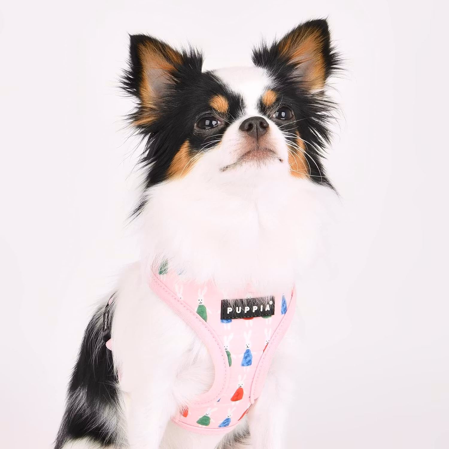 Puppia Mollie Harness A Rosa / Pink