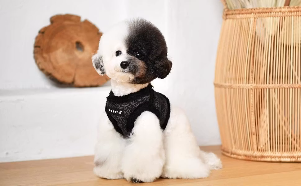 Puppia Hepatica Harness B Beige/Sort L