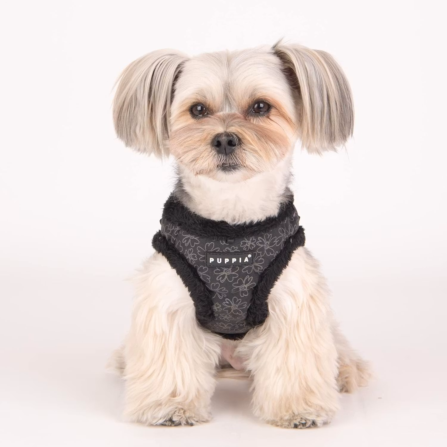 Puppia Hepatica Harness B Beige/Sort L