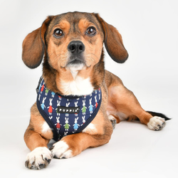 Puppia Mollie Harness A Blå / Navy