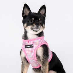 Puppia Luke Harness B Rosa / Pink