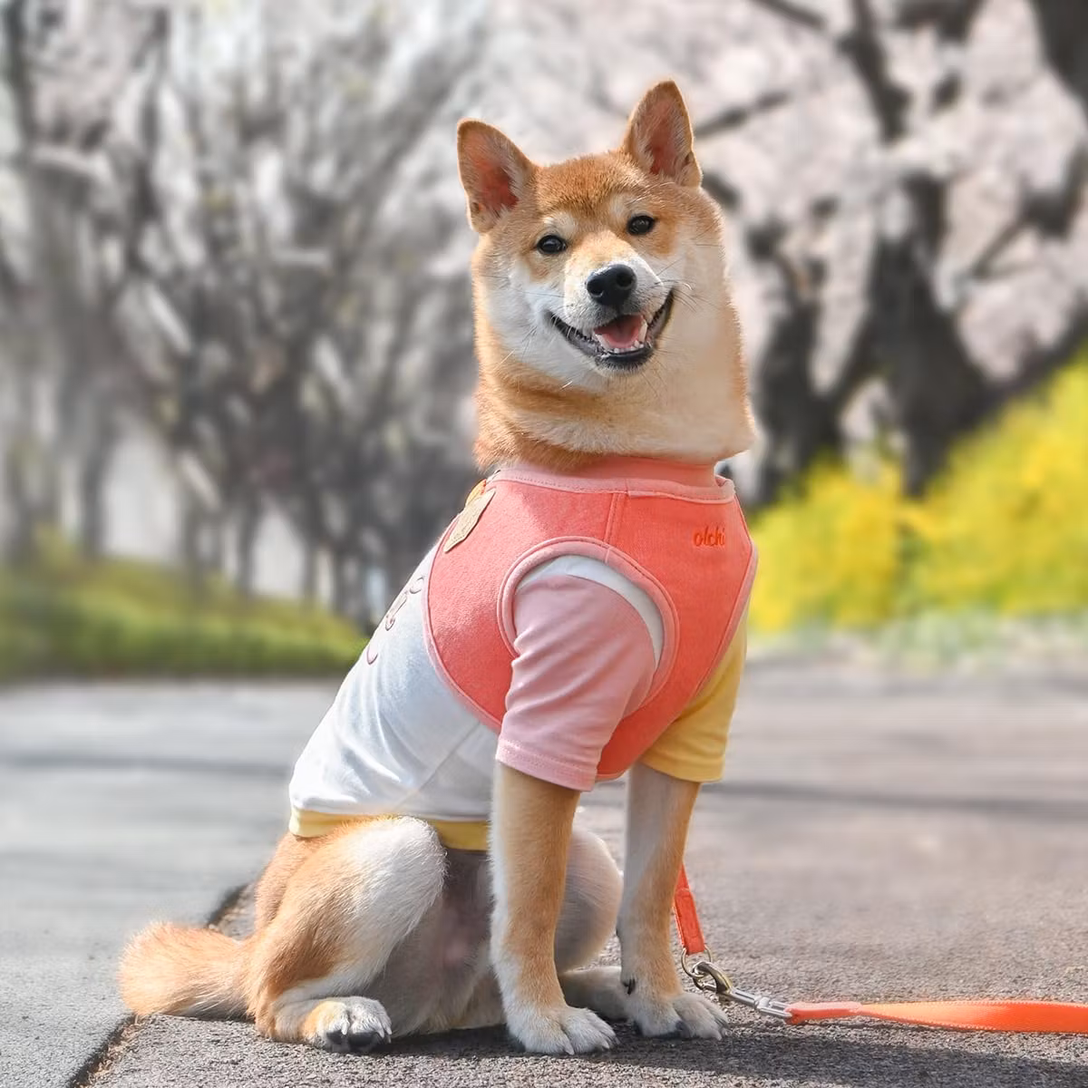 Olchi Magic Harness Fersken/Himmelblå // Peach/Pantone - Før 399,-