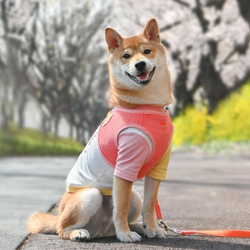 Olchi Magic Harness Fersken/Himmelblå // Peach/Pantone - Før 399,-
