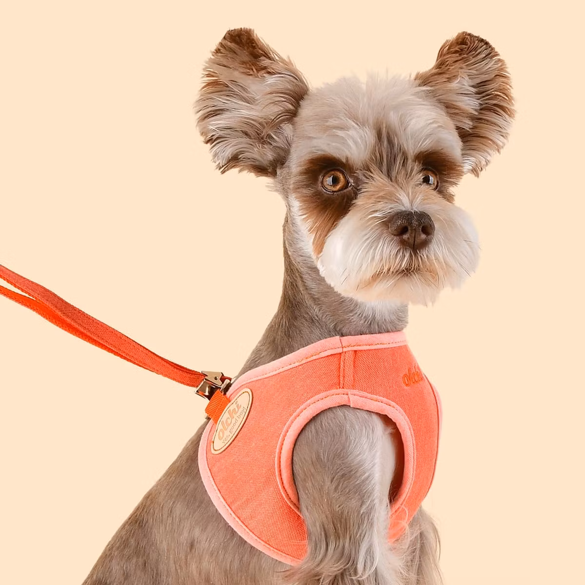 Olchi Magic Harness Fersken/Himmelblå // Peach/Pantone - Før 399,-
