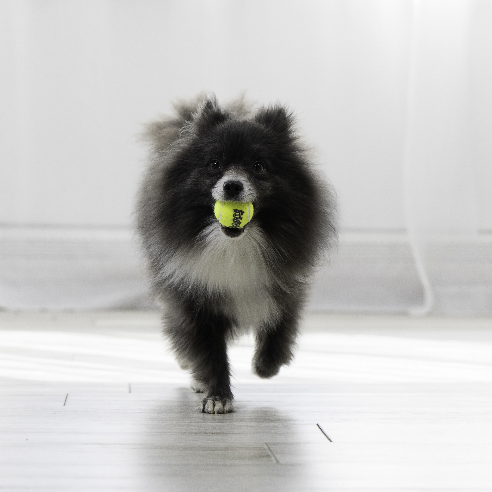 KONG Air Squeaker Ball XS 3pk