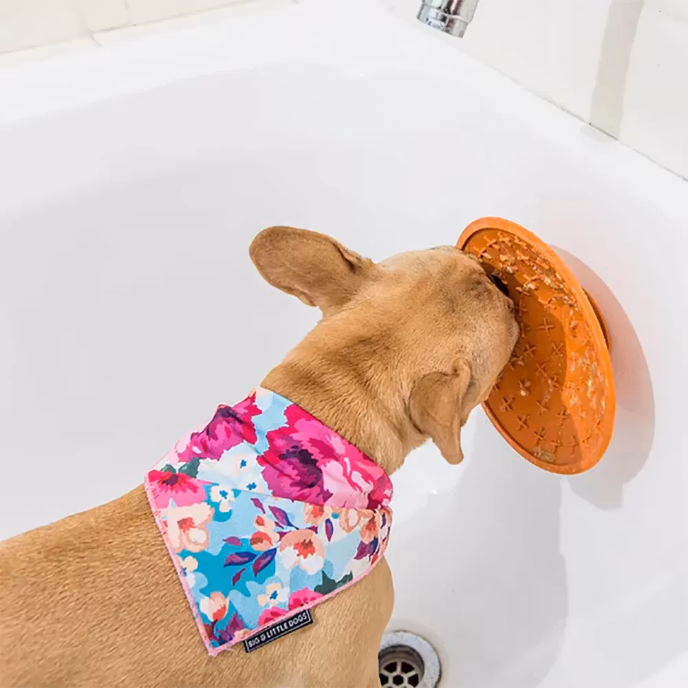 Lickimat Splash Grøn Hundskål