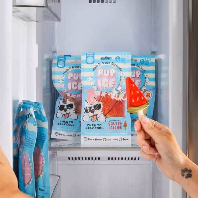 Pup Ice Fruity Lollies 3pk 90g Vannmelon