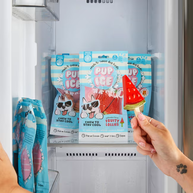 Pup Ice Rocket Lollies 2pk 90g Jordbær & Banan