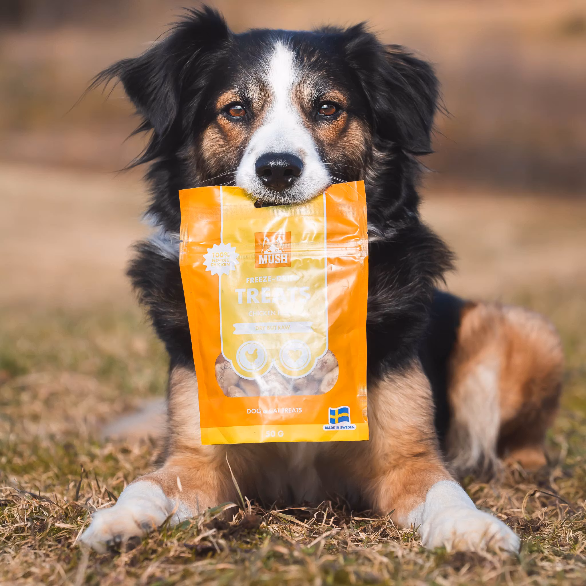 MUSH Treats Frysetørket Kyllinghjerte 50g