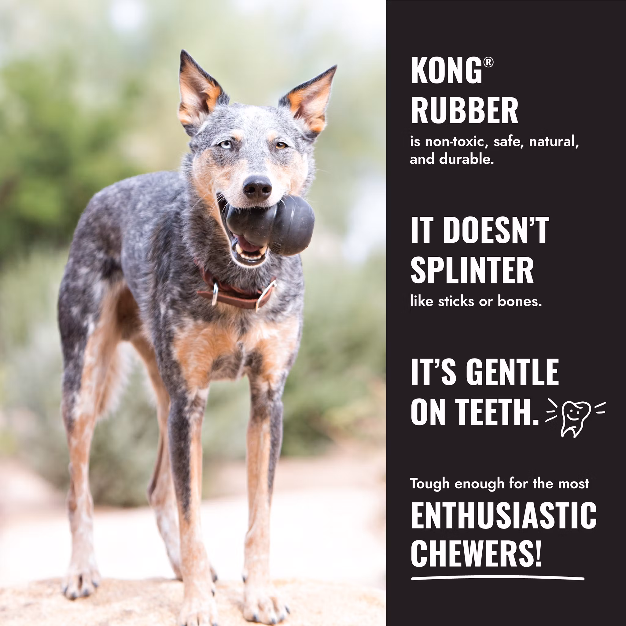 KONG Extreme Sort/Black