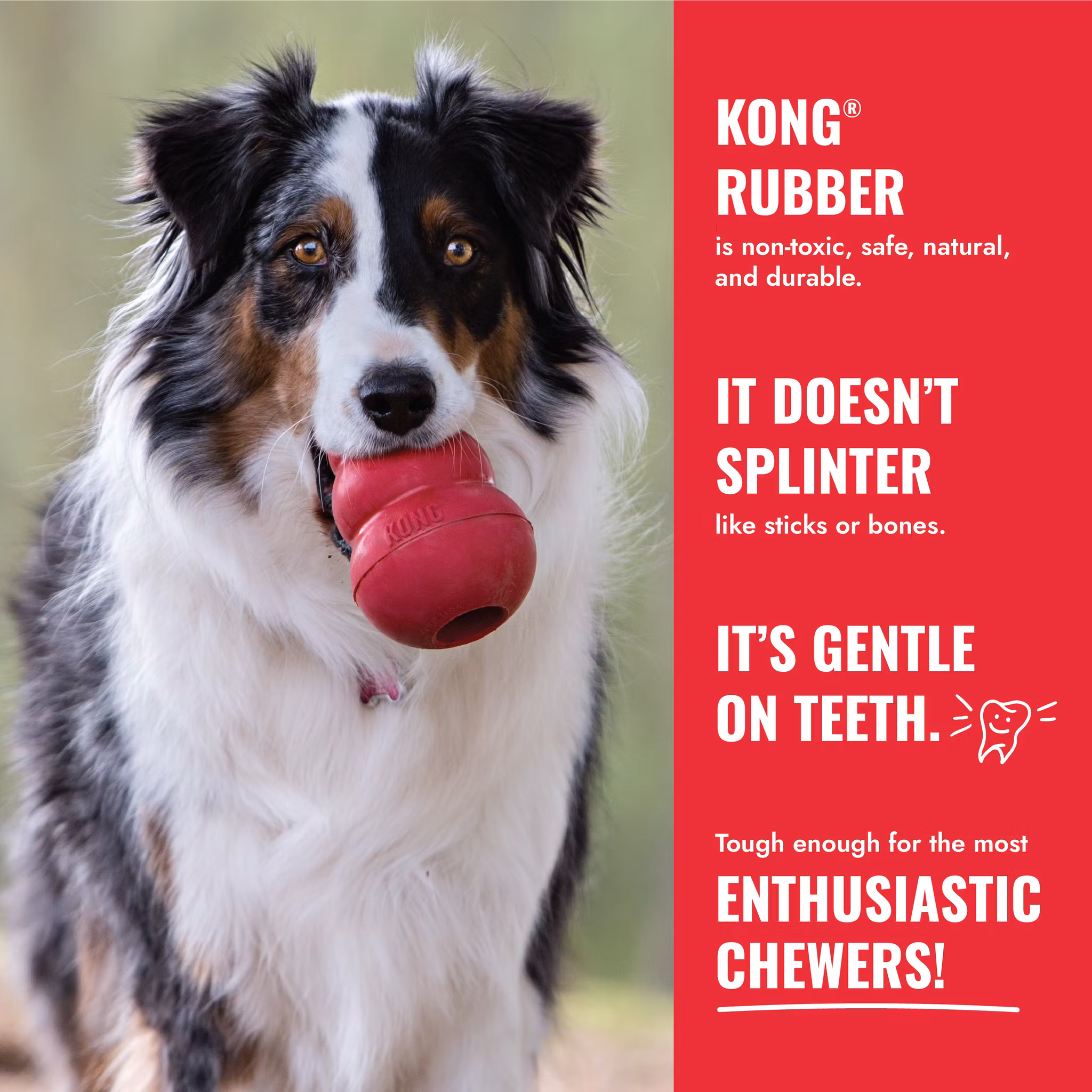 KONG Classic/Orginal