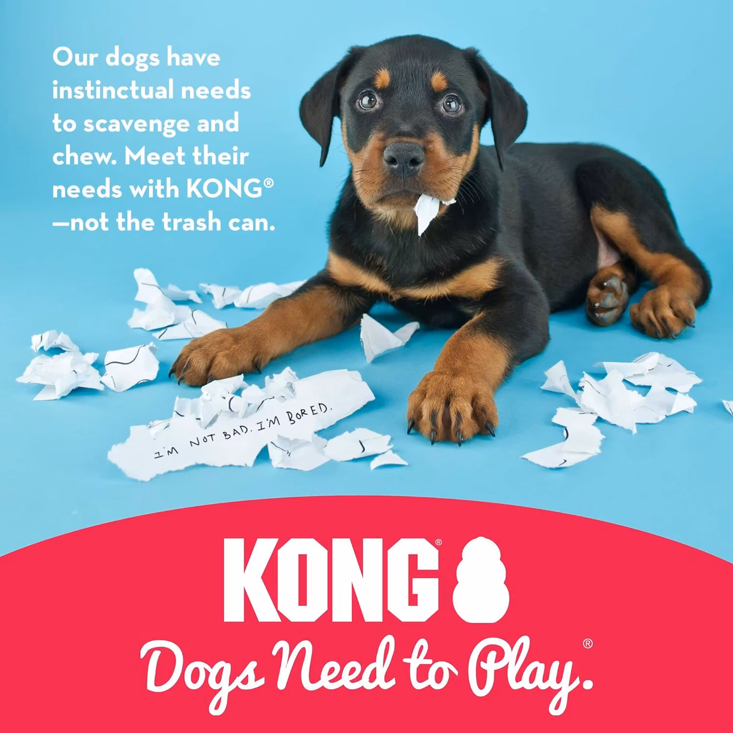 KONG Classic/Orginal