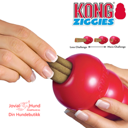 KONG Ziggies S 198g