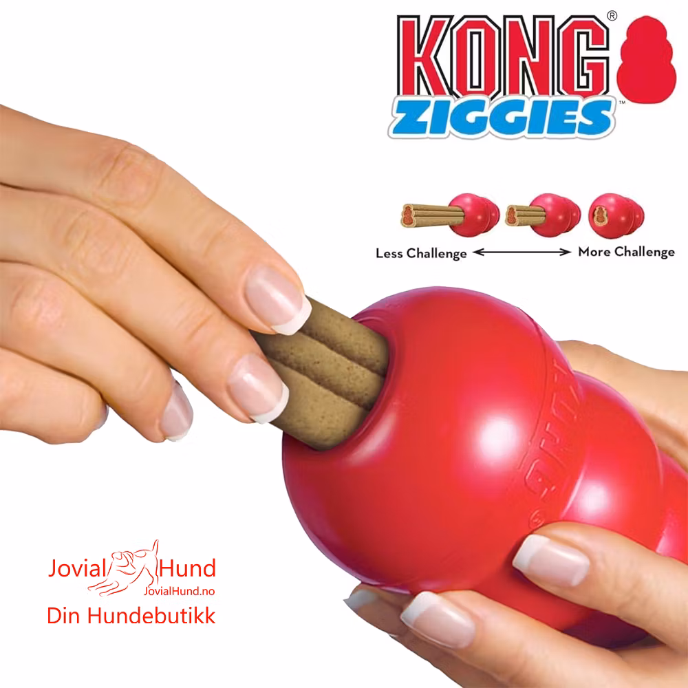 KONG Ziggies M/L 227g