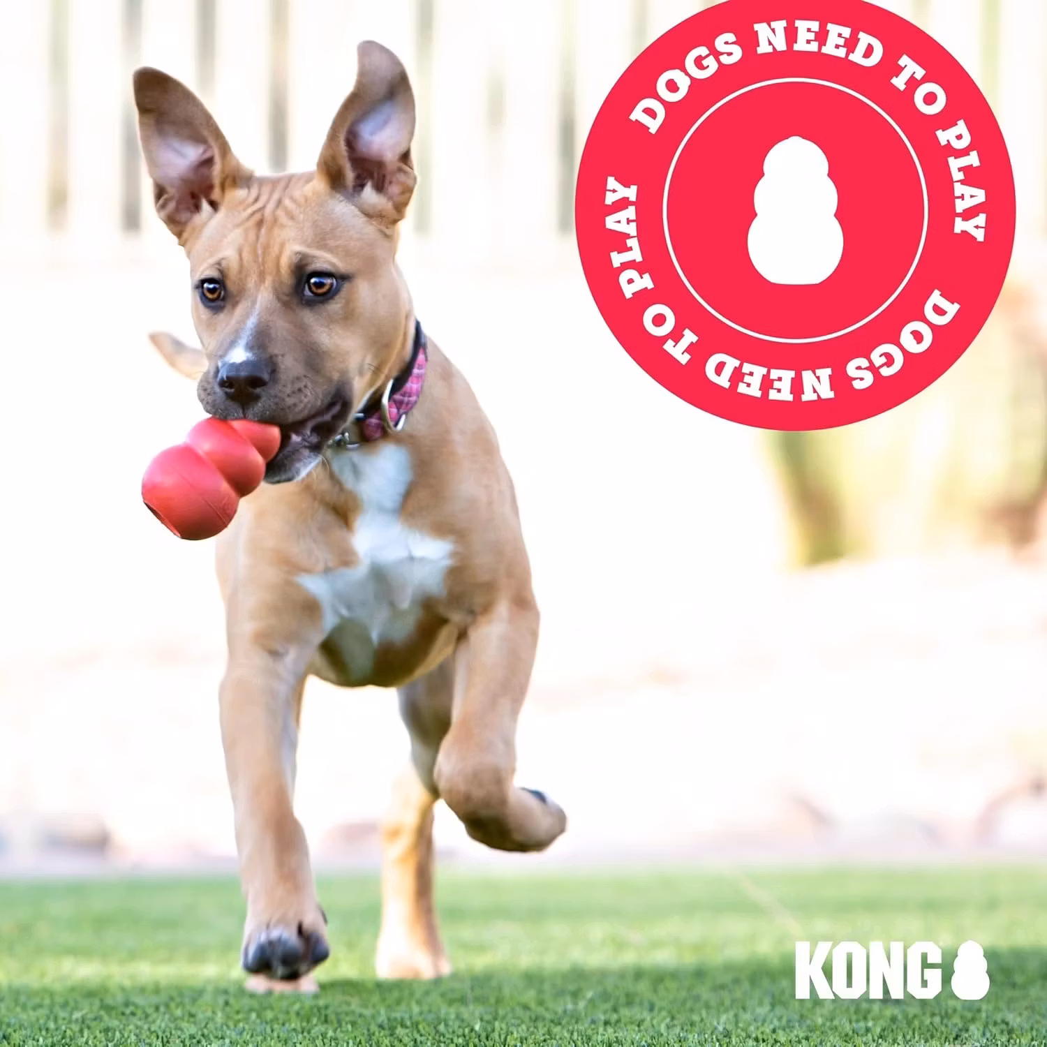 KONG Ziggies M/L 227g