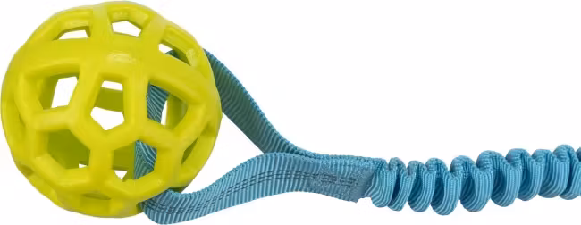 Bungee Tau M/Ball i TPR Ø9cm/48cm