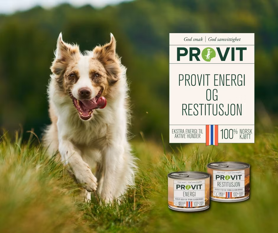 Provit Energi 185g Boks