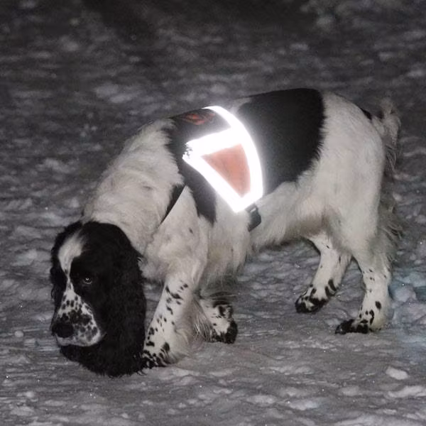 Canelana refleksdekken-refleksvest hund