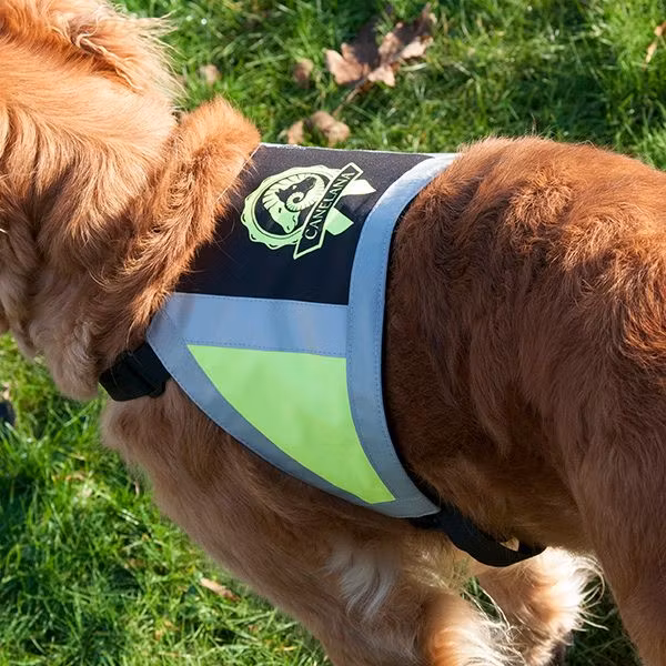 Canelana refleksdekken-refleksvest hund