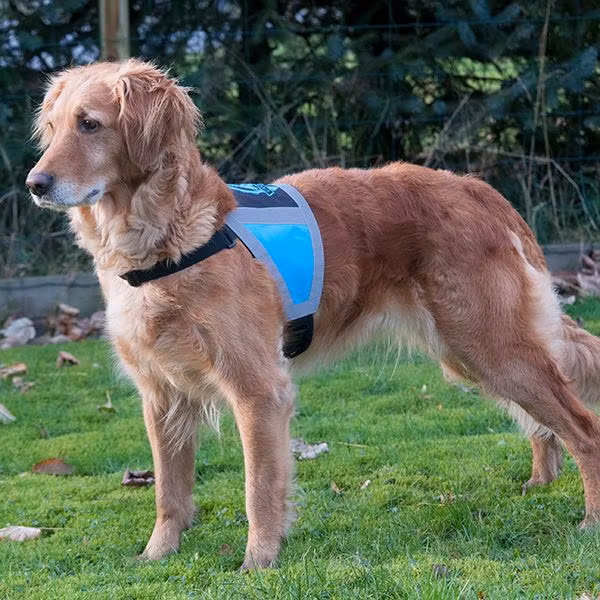 Canelana refleksdekken-refleksvest hund