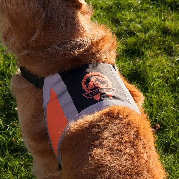 Canelana refleksdekken-refleksvest hund