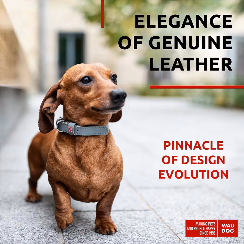 Collar Waudog Lærhalsbånd Grå